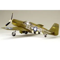 Accurate Miniatures Maquette Avion F -6B Mustang