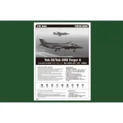 Hobby Boss Maquette Avion Yakovlev Yak-38/Yakovlev Yak-38M Forger A -Hasegawa Soldes hobby boss hb80362 yakovlev yak 38 yakovlev yak 38m forger a 21