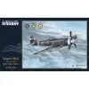 Special Hobby Maquette Avion Tempest Mk.II Hi-Tech -Hasegawa Soldes special hobby 7008214 tempest mk ii hi tech