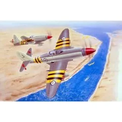 Trumpeter Maquette Avion Westland Wyvern S.4